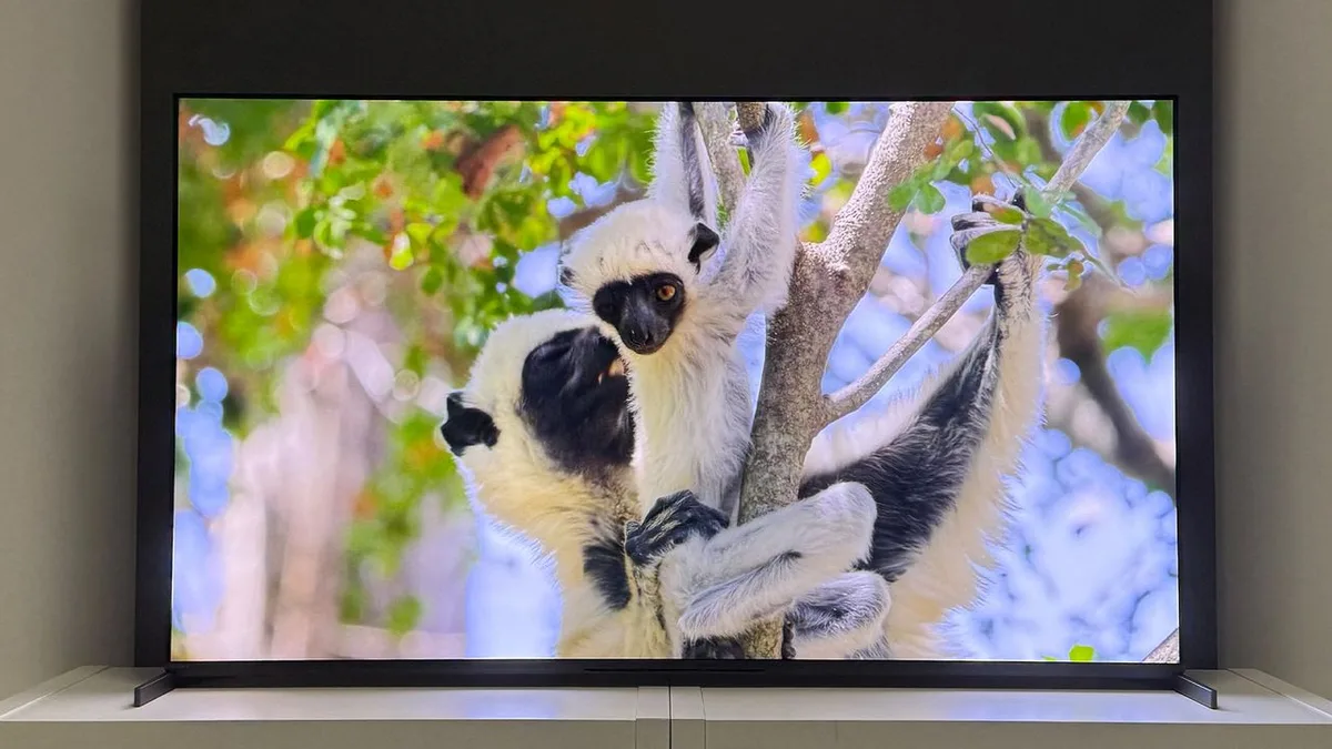  I really hope this “small” update on Sony’s OLED TV plans is true 