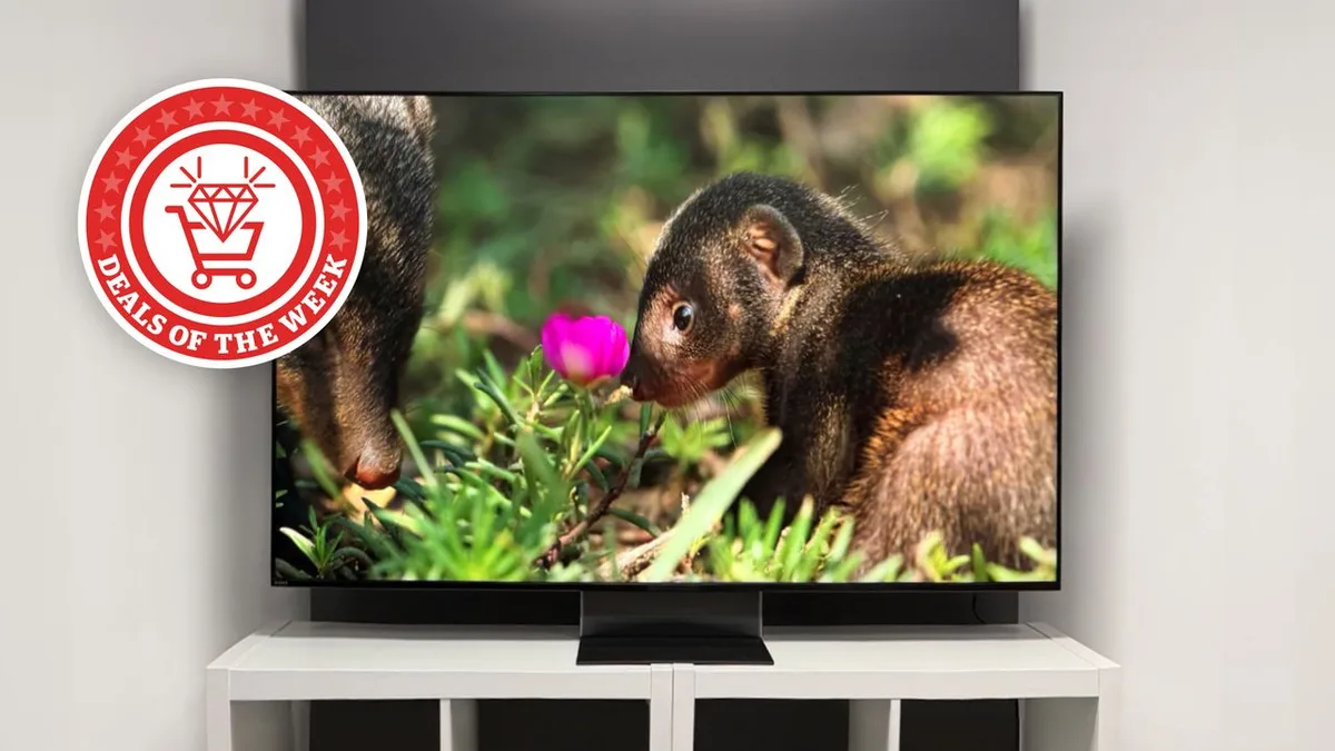  Our experts have found the best deals on RGB Mini LED TVs, Dolby Atmos soundbar systems, JBL speakers and more 